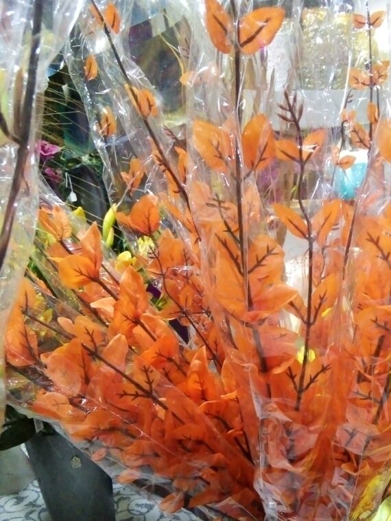 Silky Leaf Spray
