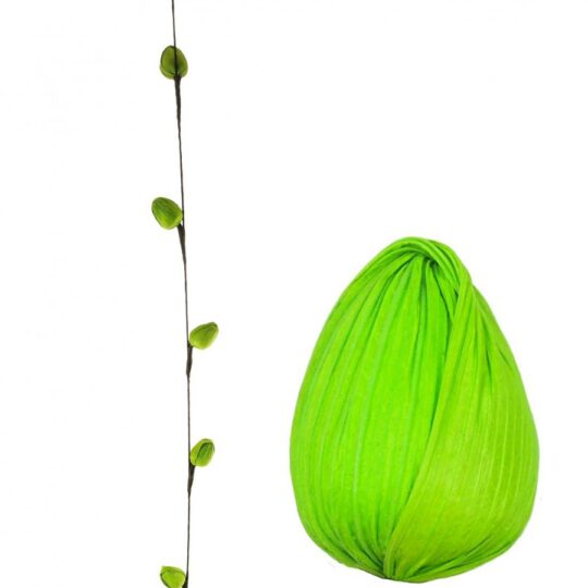Husk Bud Stem