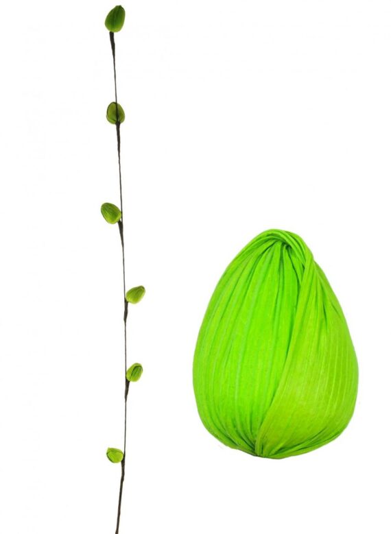 Husk Bud Stem