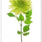 Silk ex large Dahilia