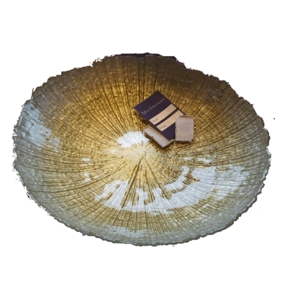 Akcam Dish