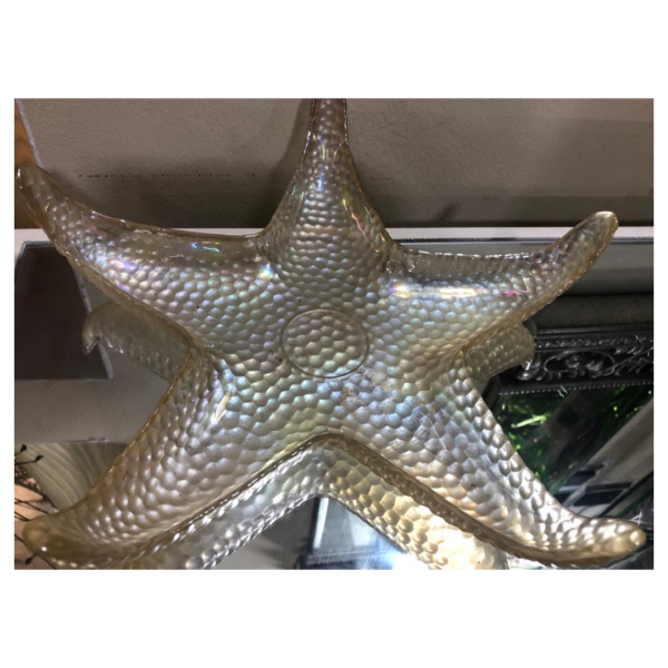 Star Fish Decor