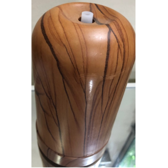 Electric Oil Steam Diffuser