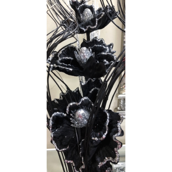 Black Velvet Edge Petal Flower