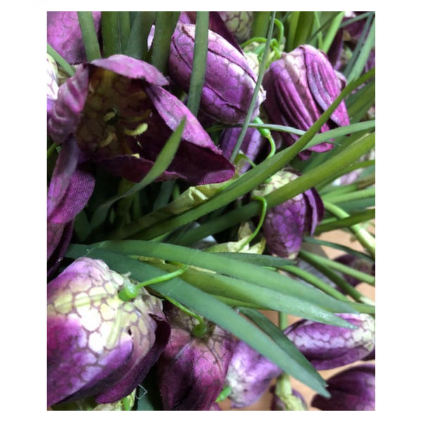 Purple Bulb Plant