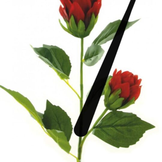 Amazon Flower