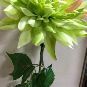 Pale Green Silk Extra Large Dahlia