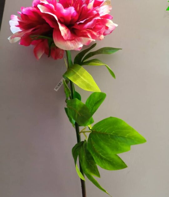 Cream Silk Tree Peony Stem
