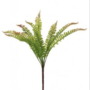 Green Fern Bunch Flower