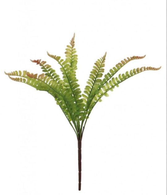 Green Fern Bunch Flower