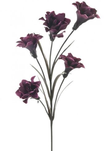 Aubergine Silk open Lily