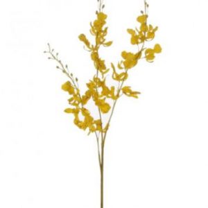 Yellow Silk Brazilian Orchid