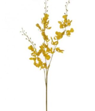 Yellow Silk Brazilian Orchid