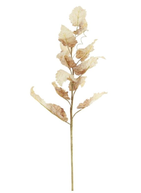 Dried Touch Fall Flower