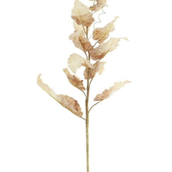 Dried Touch Fall Flower