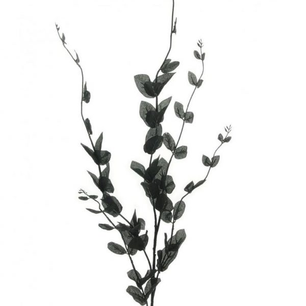 Black Silk Leaf