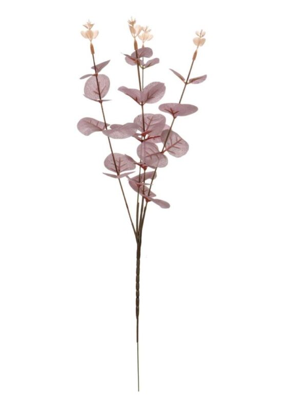 Eucalyptus Soft Leaf