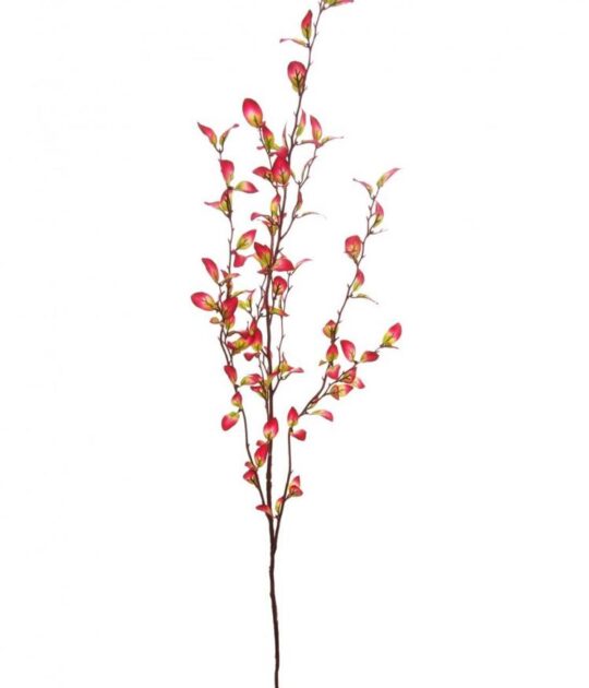 Hydregea Silk Stem