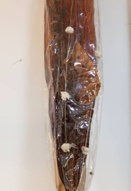 Dried Orange Willow