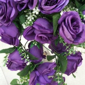 Purple Rose Plant