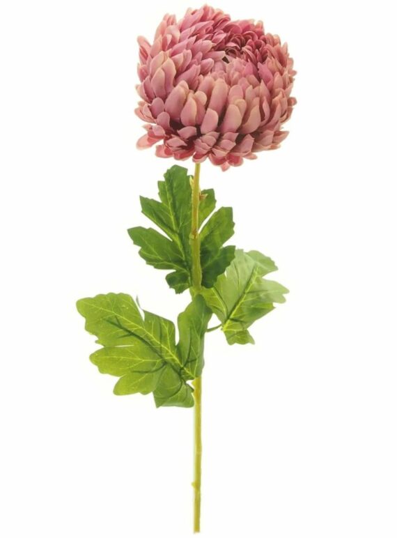 Mum Stem Flower