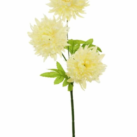 Cream seeded Pompom Stem