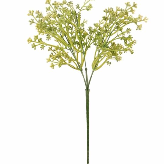 Felicity Bud stem