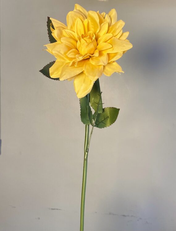 Dahlia Mustard Stem
