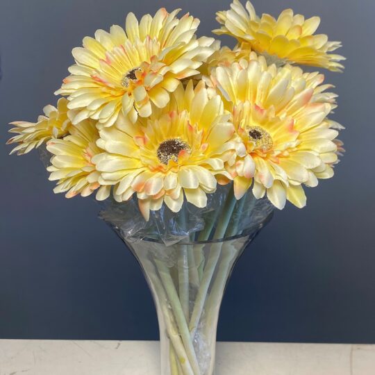 Gerbera Long Stem