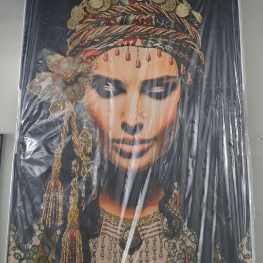 Princess Diane Wall Art